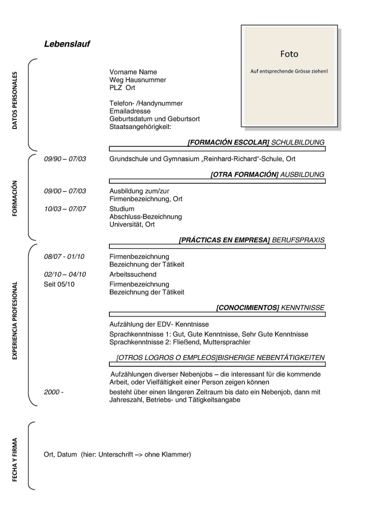 plantillas lebenslauf estructura
