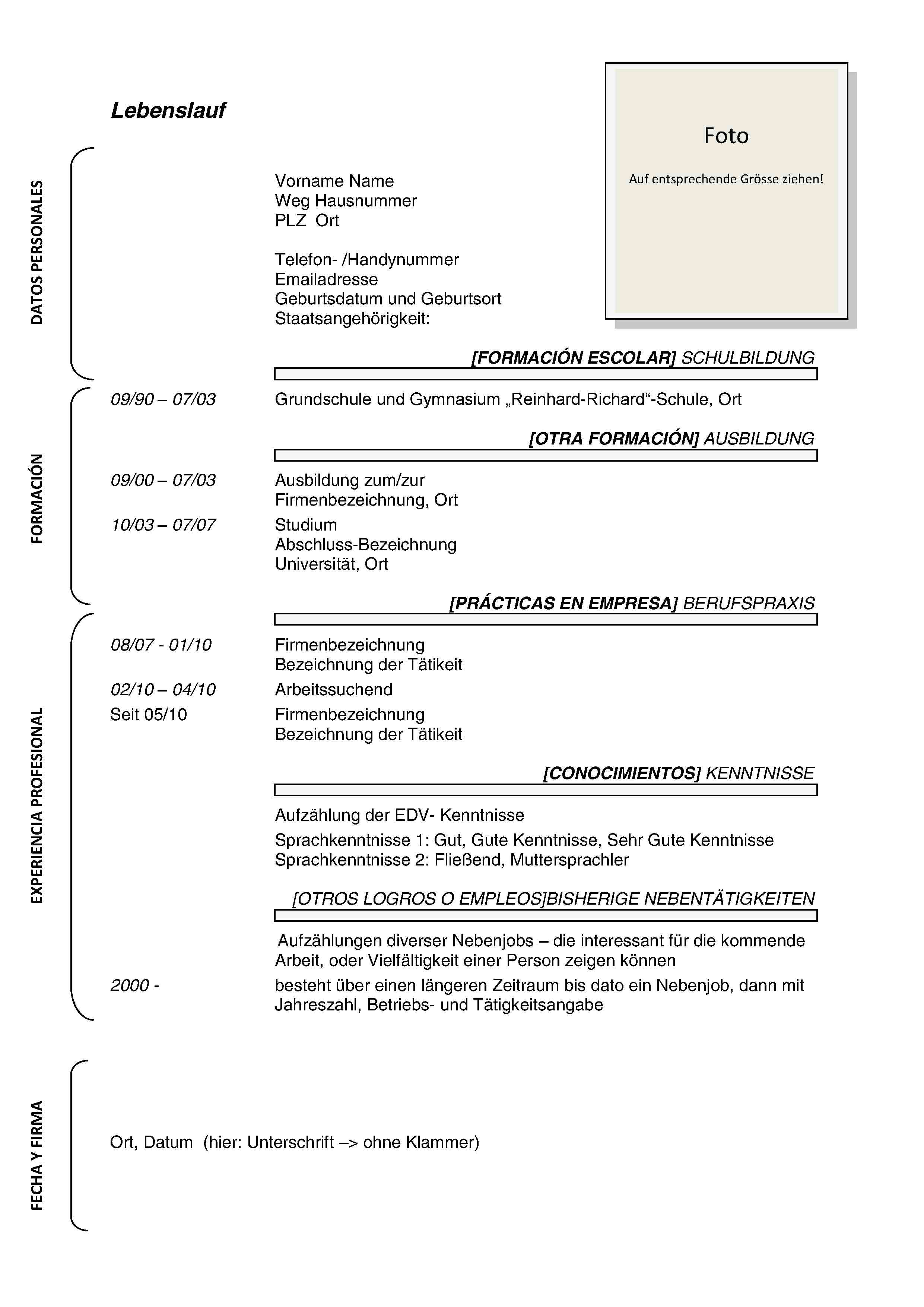 Estructura Del Curriculum En Aleman Curriculum En Alemania